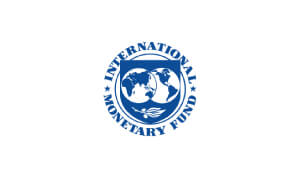 Wayne Scott Voice Over Actor International-Monetary Fund Logo